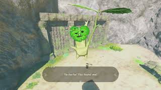 Korok Seed 647 Palmorae Ruins  The Legend of Zelda Tears of the Kingdom [upl. by Ravo329]