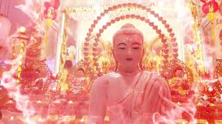 Wesak Day Celebration 2022 [upl. by Hackett992]