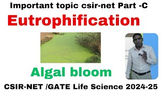 Eutrophication csirnet l Algal bloom for csirnet life Science l Important topic for csirnet l [upl. by Acinhoj]