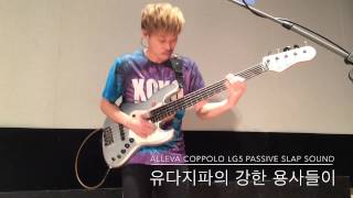 ALLEVA COPPOLO LG5 PASSIVE SLAP SOUND amp유다지파의 강한용사들이 [upl. by Hedges]