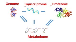 Genome Transcriptome Proteome Metabolome within 2 minutes  Genomics Transcriptomics Proteomics [upl. by Manno]