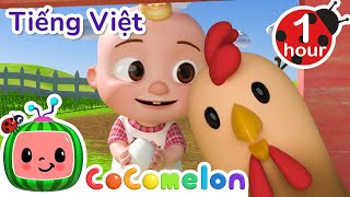 Ông MacDonald  CoComelon Tiếng Việt  Nhạc cho Trẻ em  Bài hát Ru ngủ [upl. by Aneet]