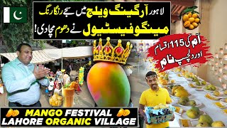 Mango Festival 2024 In Lahore Organic Village  100  Varities of Mango  Chak De Phatay [upl. by Enylrac]