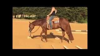 Sold Figure On Fancy AQHAAPHA Trail and Lead Change [upl. by Mide]