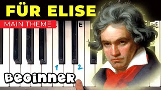 Für Elise  EASY Piano Tutorial with letters and numbers [upl. by Laroy907]