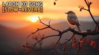 Labon Ko Labon Se Song 🥀 Slowed  Reverb 😘 New Viral Song  song songs music viral [upl. by Naor]