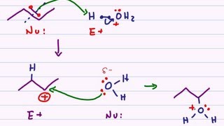 Hydration of Alkenes  Acid Catalyzed Reaction Mechanism [upl. by Dajma]