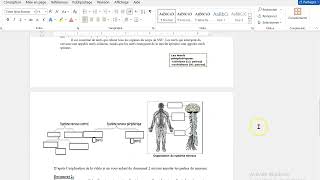 S1 Biologie Chapitre 1 Application 1 [upl. by Nottnerb]