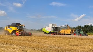 Loonbedrijf Neyt  Claas Lexion 570 amp New Holland CX8090 [upl. by Frederich214]