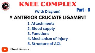 ACL  Anterior cruciate ligament attachment function mechanism of injury Knee complex [upl. by Nurat]