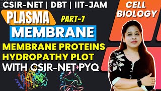 Plasma membrane VII Membrane Proteins Structure and Function  Hydropathy Plot [upl. by Cony698]