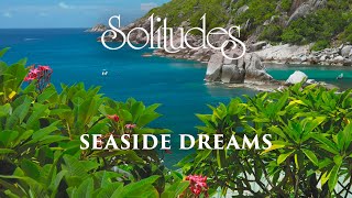 Dan Gibson’s Solitudes  Earth Song  Seaside Dreams [upl. by Eannaj]