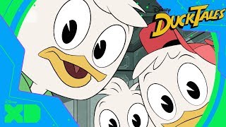 DuckTales  Meet Huey Dewey and Louie  Official Disney XD UK [upl. by Nnylireg]