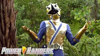 Unexpected Arrival  Samurai  Full Episode  S18  E13  Power Rangers Official [upl. by Ojaras429]