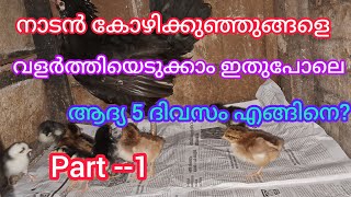 കോഴിക്കുഞ്ഞുങ്ങളുടെ ആദ്യ 5 ദിവസം part1 [upl. by Ycnej]