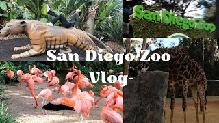 SAN DIEGO ZOO  VLOG [upl. by Mellman]