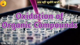 Oxidation of organic compounds Chemistry Junction [upl. by Airamasor147]