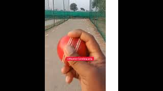 how to Ball doosra in cricket offspinbowling trending cricketlover shorts viral video india [upl. by Nnylak]