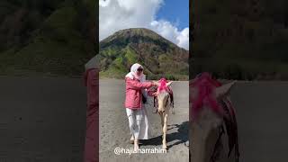 TRIP BROMO [upl. by Tellford]