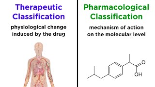 Categorizing Drugs Classes Names and Schedules [upl. by Burty]