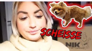 PIKACHU WURDE GEBISSEN 😭 SCHLEMMERBLOCK 2024 🍝 GRIECHISCHE LEBENSMITTEL BESTELLUNG 🇬🇷 LIDL HAUL 🍎 [upl. by Tobin736]