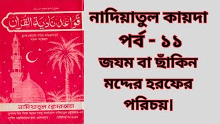 নাদিয়াতুল কুরআন কায়দা পর্ব১১জযম ওমদ্দের হরফের পরিচয়আরাবিক কোরআন শিক্ষা কোর্স Bangla Quran Shikkha [upl. by Akemhs401]