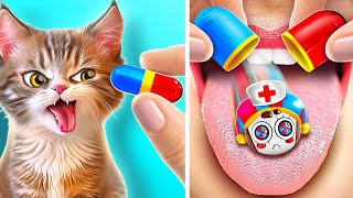 My Cat Was Saved By Digital Circus 🤡😻 Awesome Fidgets For Rich And Poor Cats [upl. by Llerrahs]