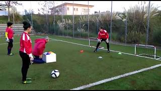 Allenamento portiere  Psicocinetica e Tecnica applicata [upl. by Nylekoorb471]