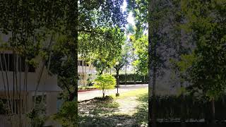 Kazi Resort amp Hotel Gazipur lofi aesthetic slowedandreverb lofimusic banglalofi kaziresort [upl. by Newol286]