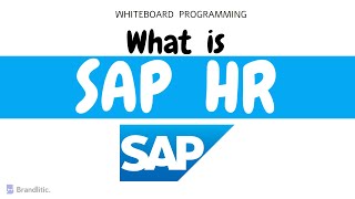 What is SAP HR Explained  Introduction to SAP HCM Overview amp Basics [upl. by Lukin]