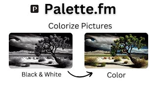 Instantly Add Color to Photos with Palettefms AI  Quick Demo [upl. by Annait]