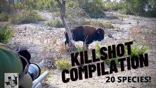 KILLSHOT COMPILATION  Texas Whitetail Deer and Exotic Hunting [upl. by Bencion]