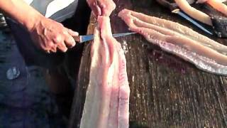 how to fillet a northern pike boneless [upl. by Ainaled]