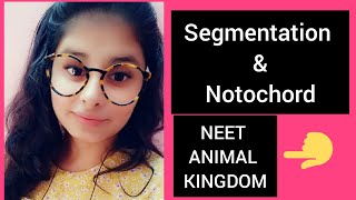 Segmentation amp Notochord  ANIMAL KINGDOM  NEET preparation  NEET preparation in Hindi [upl. by Vitale]