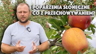 Czy przechowywać jabłka z poparzeniami słonecznymi Krótko i na temat [upl. by Eelsew66]