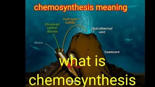 chemosynthesis  chemosynthesis definition chemosynthesis in hindi chemosynthesis [upl. by Ylirama905]