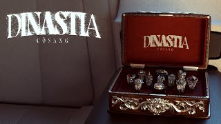 CoSang  Dinastia Visual Video [upl. by Elleiram69]