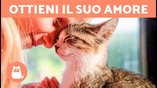 Come rendere un GATTO più AFFETTUOSO 🐱💕 5 consigli [upl. by Adamek981]