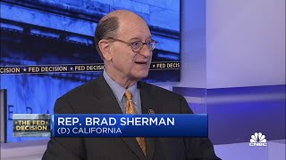 Aid for Israel and Ukraine will probably pass through Congress this year says Rep Brad Sherman [upl. by Armillia42]