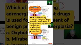 Adrenergic antagonist drug is used for the treatment of enlarged prostate [upl. by Laith937]