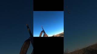 Full Video shooting some Sandhill Crane The Ribeye of the Sky [upl. by Nolyaj350]