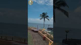 Taj Fort Aguada Resort View resort shortvideo rekhakusumam [upl. by Sheba]