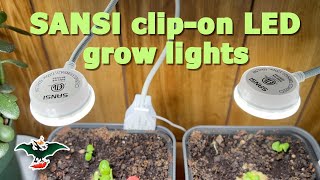 Growing with the SANSI clip on LED full spectrum plant lights [upl. by Wolliw]