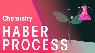 The Haber Process amp Its Environmental Implications  Reactions  Chemistry  FuseSchool [upl. by Hildegarde]