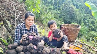 A single mother must maintain life  how to raise her children Truong thi pham [upl. by Arak]