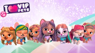 💇🏼 PRIMA STAGIONE COMPLETA 💇🏼 VIP PETS 🌈 EPISODI COMPLETI 💕 CARTONI ANIMATI per BAMBINI in ITALIANO [upl. by Standford]