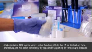 RNA PowerSoil® Total RNA Isolation Kit  Visual Protocol [upl. by Asikal]