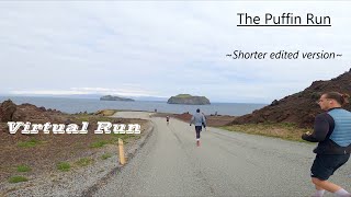 Virtual Treadmill Run  Iceland  1 Hour Version Of Puffin Run 2022  LavaIslandsOceanAmazing [upl. by Pollux]