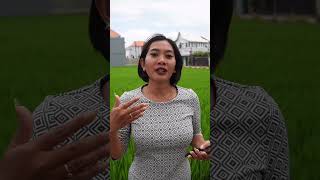 Choosing a notary in Bali contact us to learn more about this process bali balirealestate [upl. by Guyon]