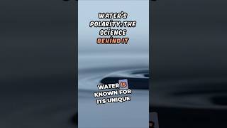 Waters Polarity The Science Behind It [upl. by Budge349]